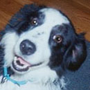 Polly was adopted in March, 2004